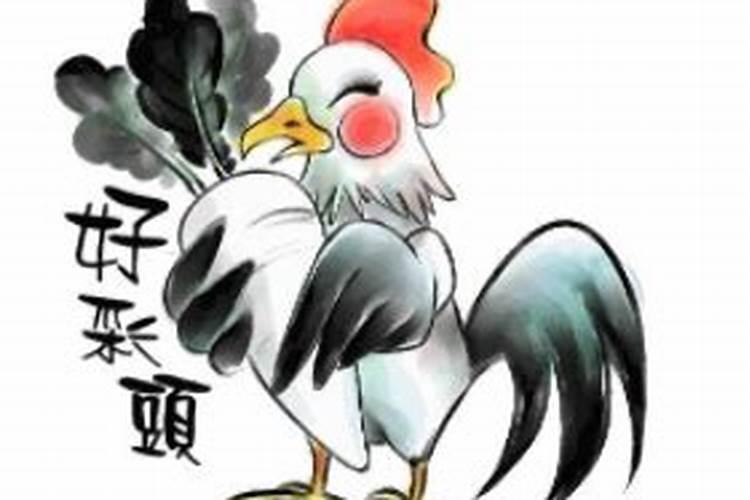 属牛与鸡属相婚配好吗？