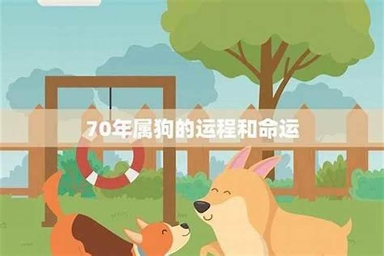 70年出生今年的运程