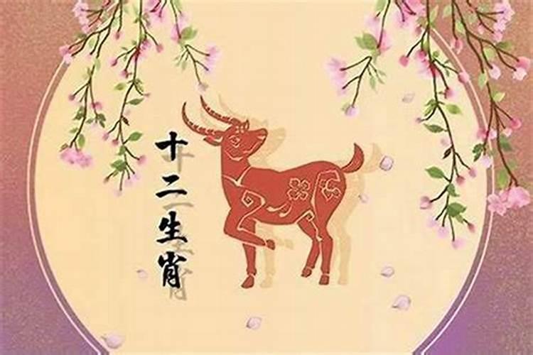 属羊和属马的八字合吗？