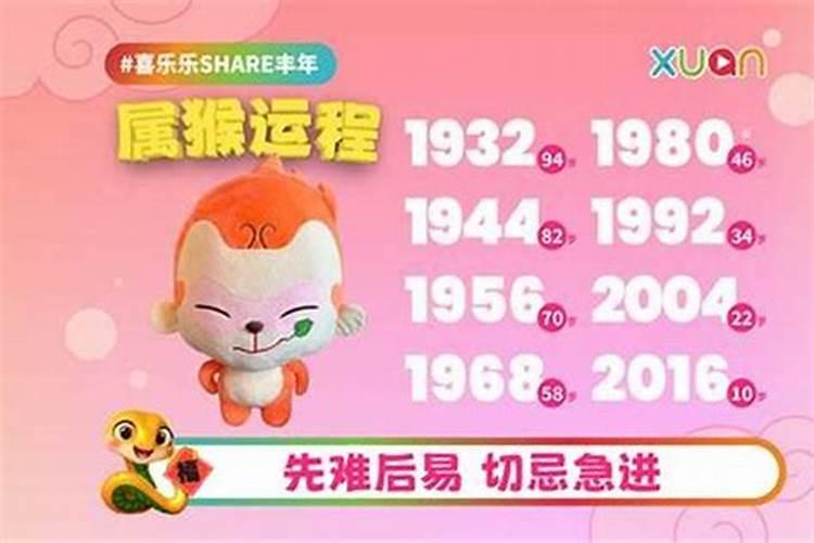 属猴人在一九年运程如何？