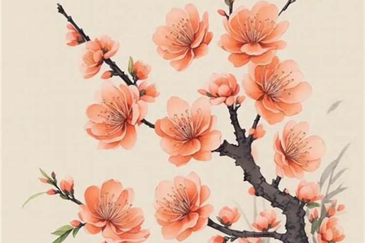烂桃花和正缘怎么区分？