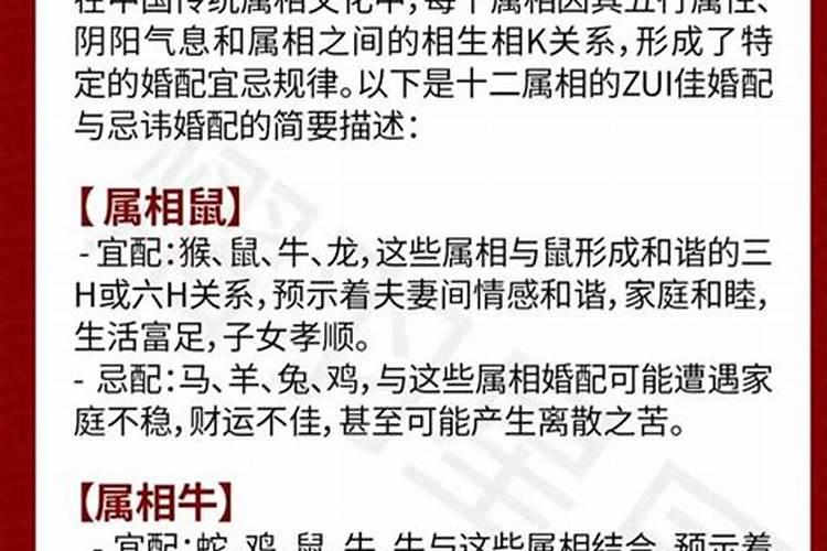 属马男跟属牛女合婚吗？