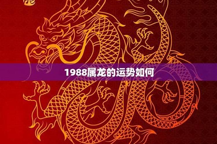 1988年出生的龙的运势如何？