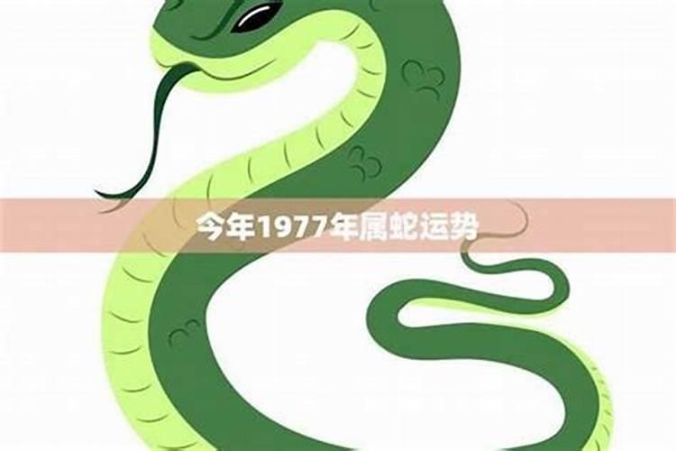 53年蛇女2026年的运势