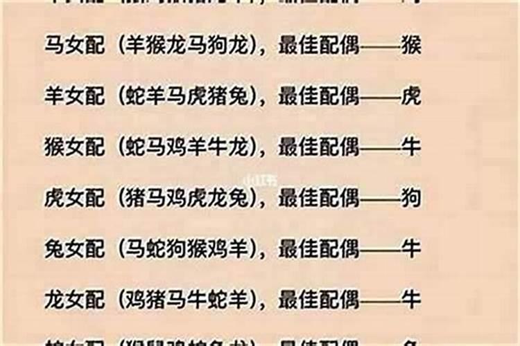 男鼠女蛇属相婚配好吗？