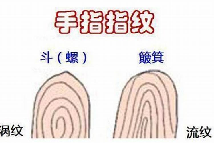 手上有十个簸箕的人命运怎么样？