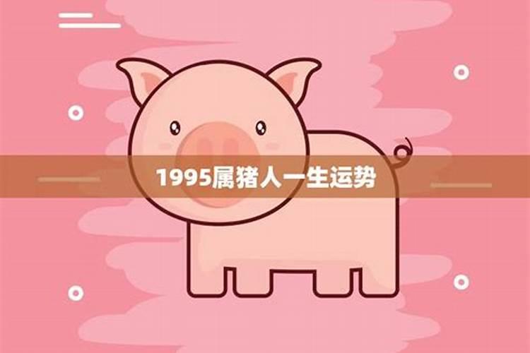 1995年属猪的7月出生的运势