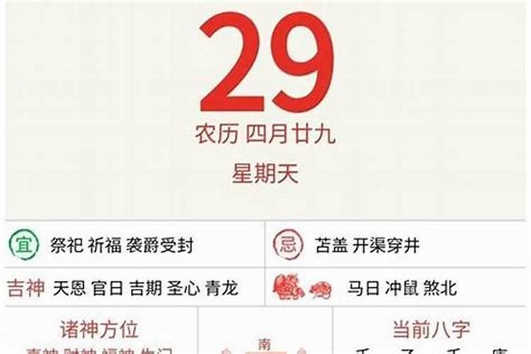 生肖每日运势查询水墨