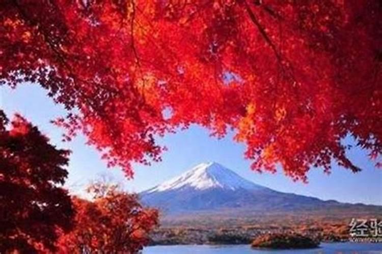 十月初一去日本哪里玩？