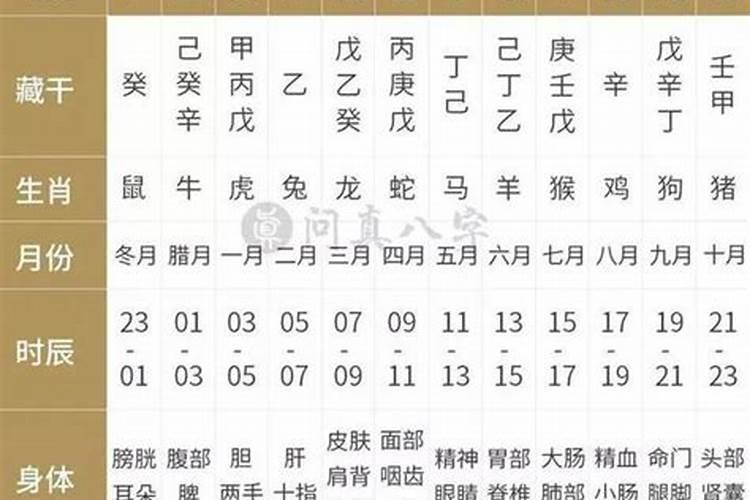 怎样配对八字的干支午？