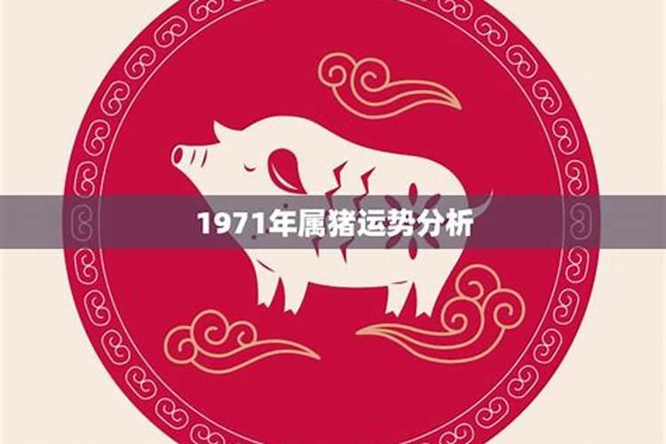 1971年猪男一生运势