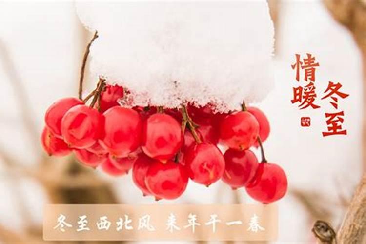 冬至好运永不断