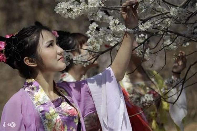 南宝衣真的是桃花煞吗？