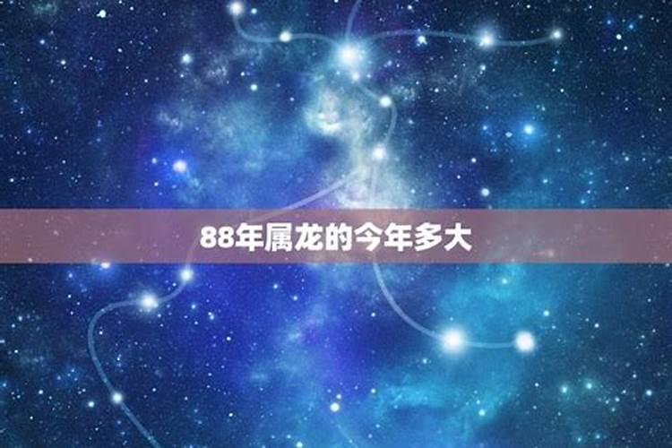 88年属龙今年运势多少岁？