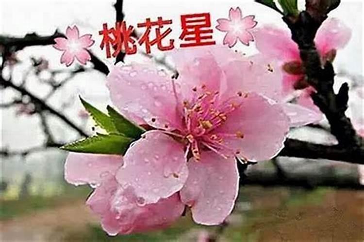 八字命理怎么看桃花运？