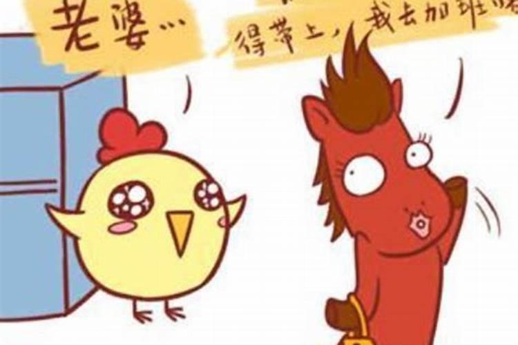 男马和女鸡合婚吗？