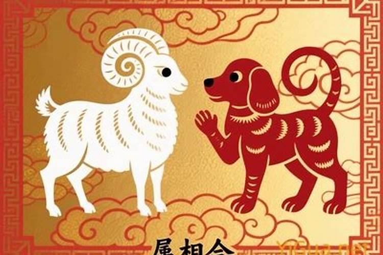 属羊和属狗八字合吗？