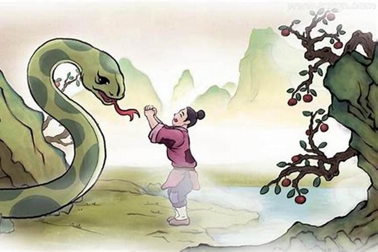 梦见很多蟒蛇追自己是什么意思？
