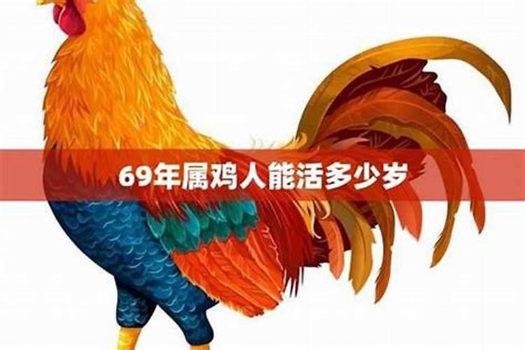 69年2026鸡年运势如何？