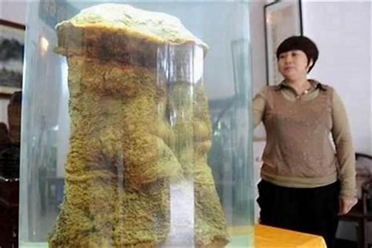 太岁相合是什么意思？