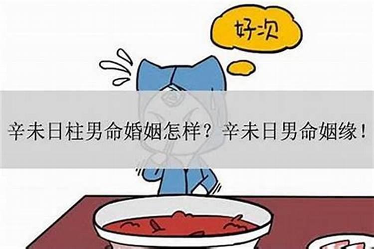 己巳年和辛未年合婚吗？