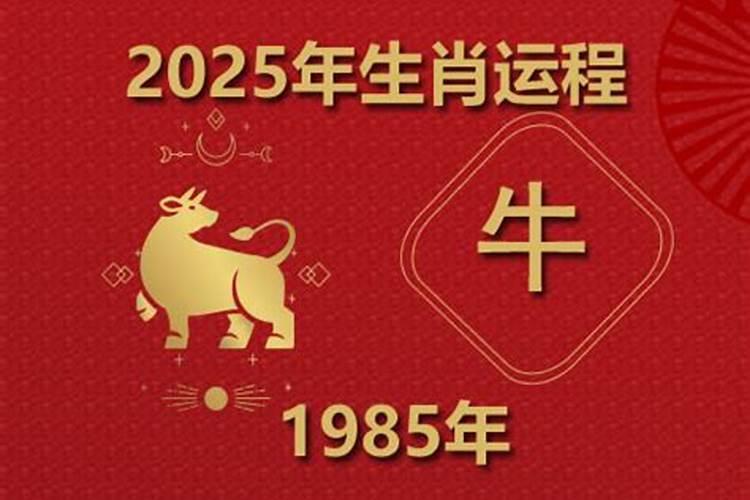 1985年属牛男今年运势