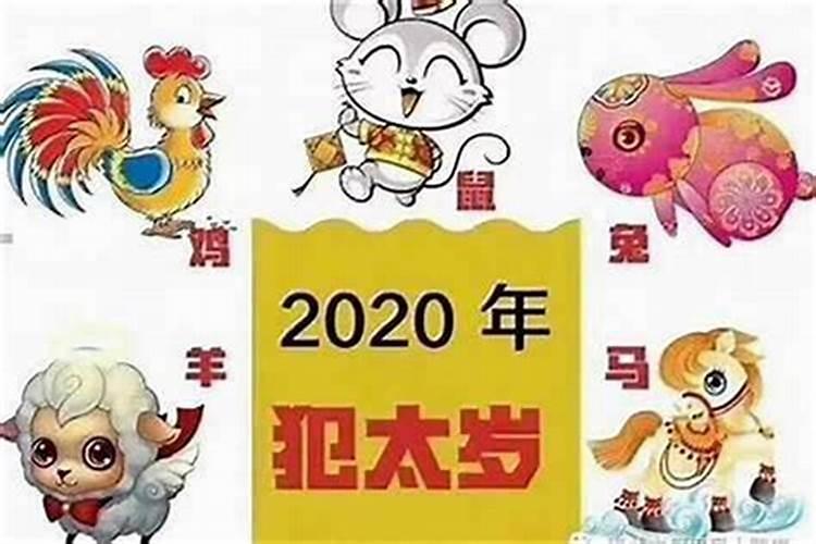 虎年猪破太岁什么意思？