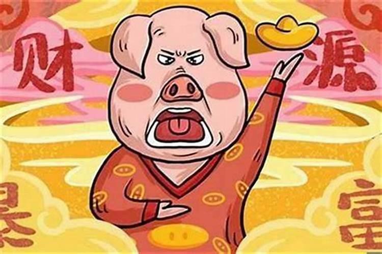 属龙和属猪八字合吗？