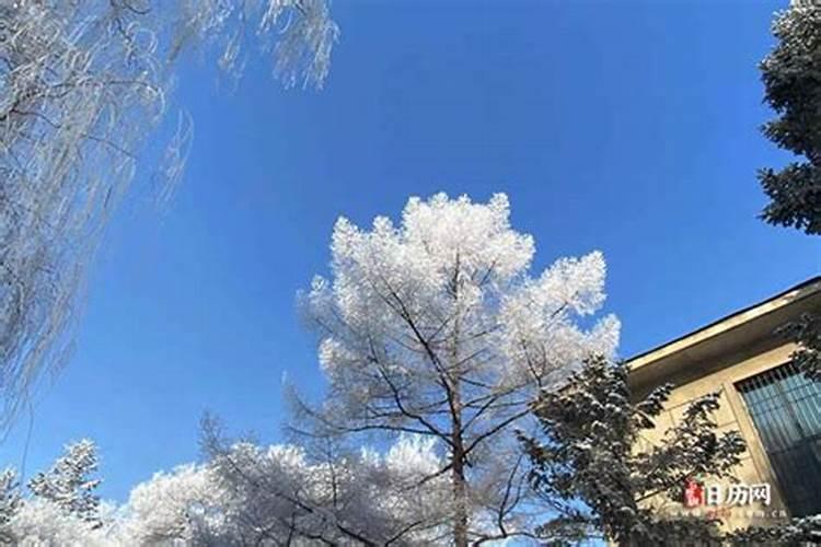 十月初一立冬是哪天？