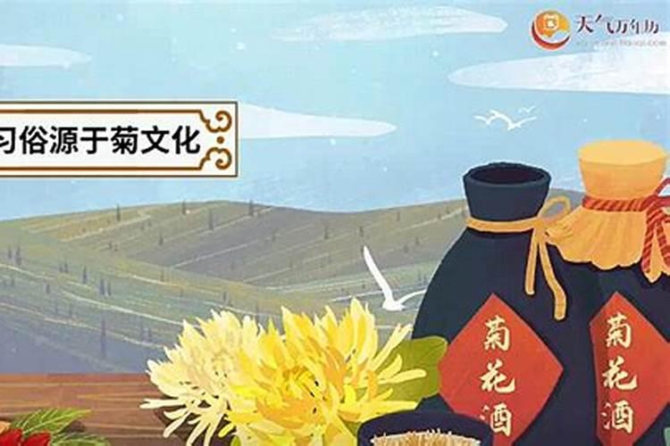 重阳节有什么风俗习惯吗？