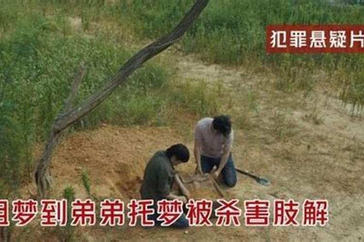 姐姐梦到弟弟死亡背后的情债