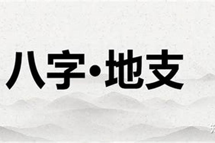八字冲跟合怎么看？