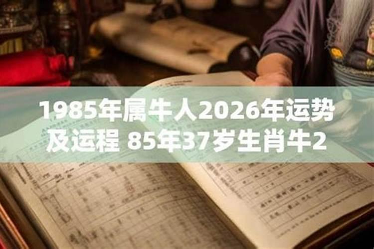 1985年属2026年运程