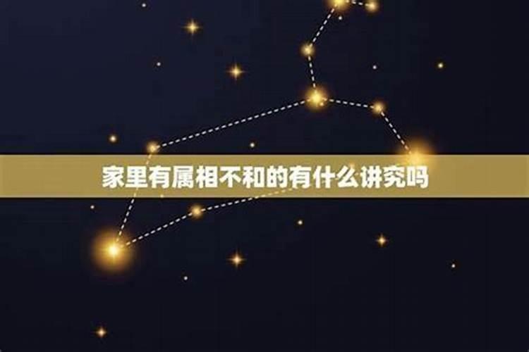 属相相合婚姻就幸福吗？
