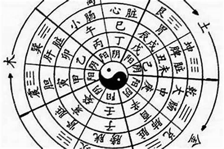 八字中什么是自合？