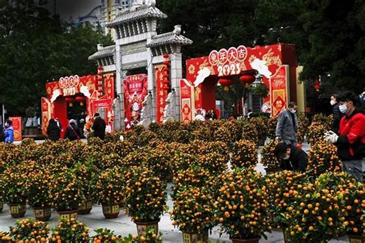 宜州春节看花