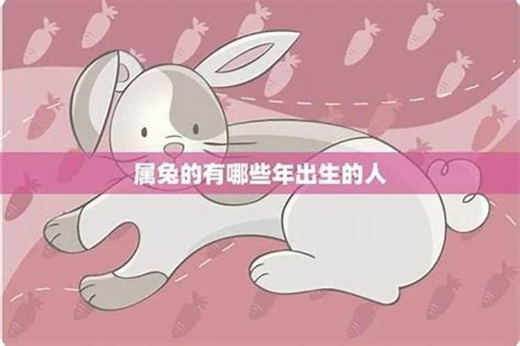 2026属兔一二月出生人运程