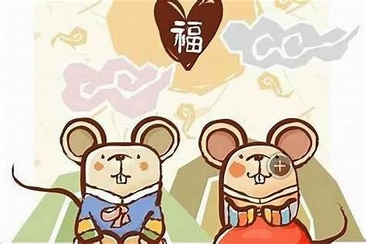 鼠人女找什么属相婚配？