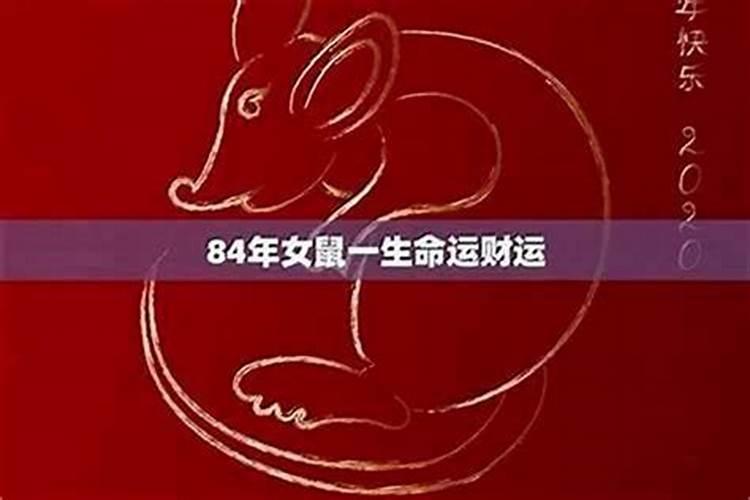 1984年鼠女2026运势如何？