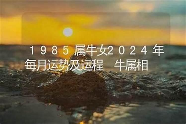 77年出生的女人在2026年运程