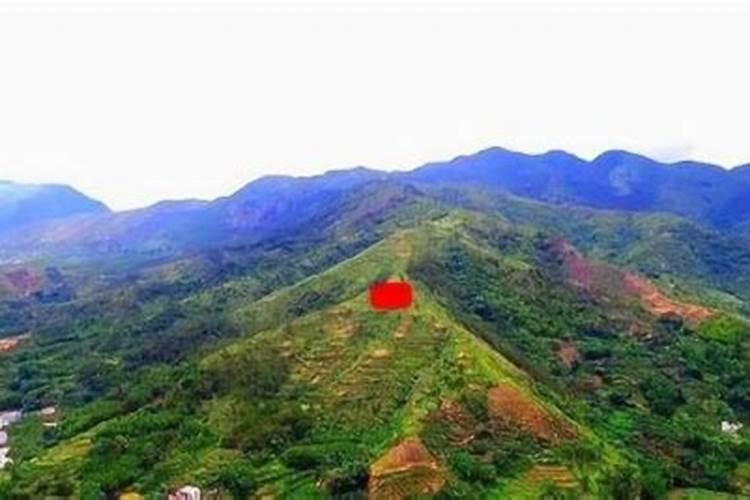 信宜风水大师电话