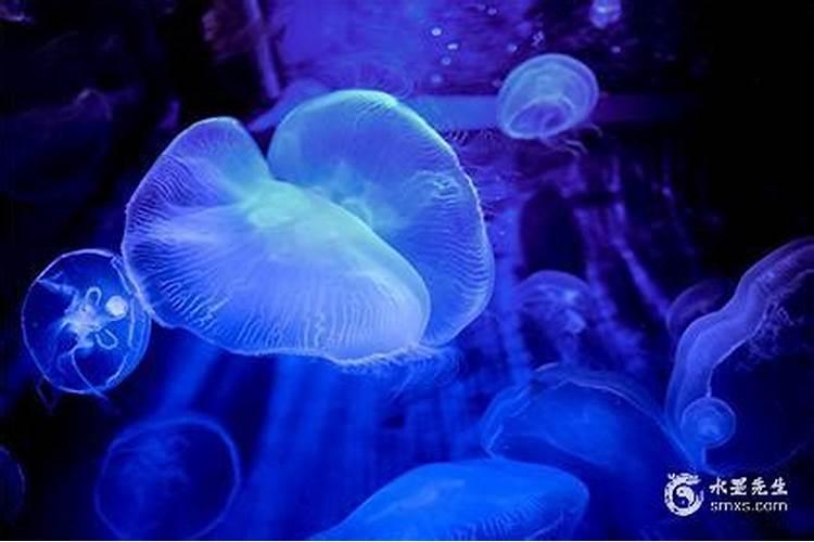 流月偏印什么意思？