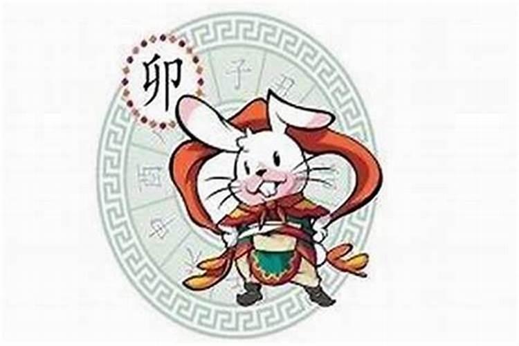 腊月的兔子运势如何？