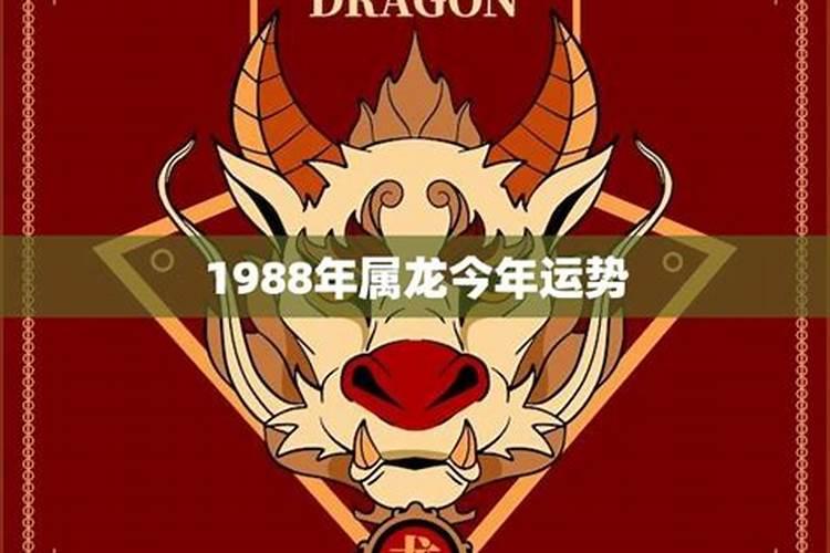 1988年生今年运势