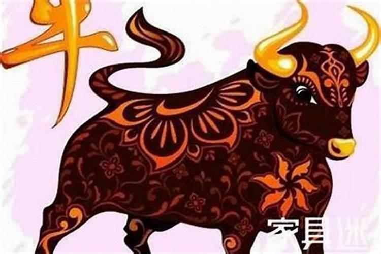 本命年的运气好不好属牛？