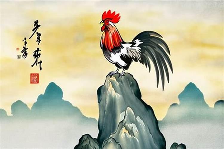 属鸡的今日运势神巴巴
