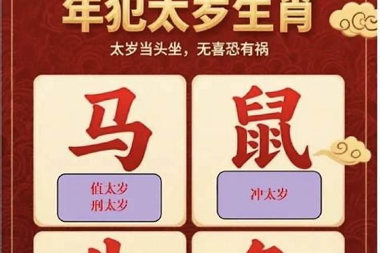 鼠年犯太岁的生肖是什么？