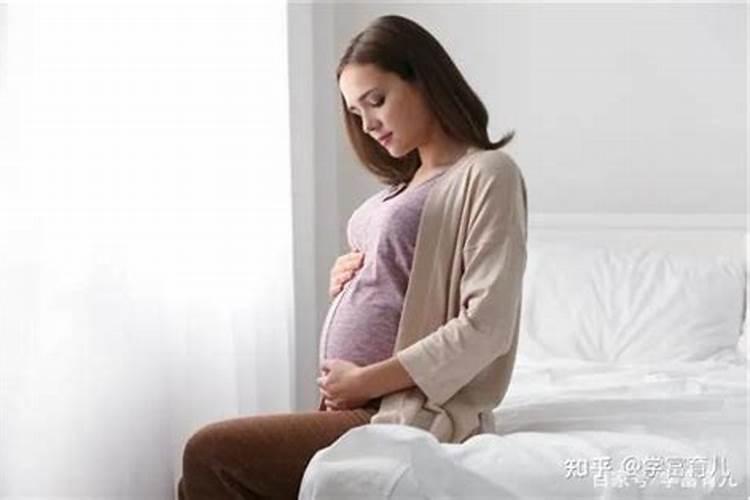 孕早期梦见蛇什么意思？