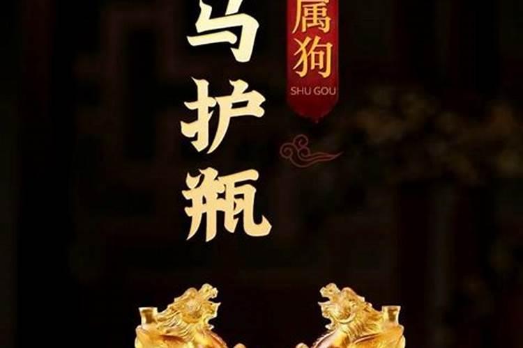 五月出生属狗人运势