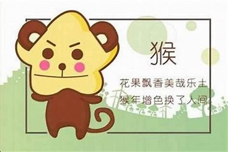 属猴和属猴八字合吗？
